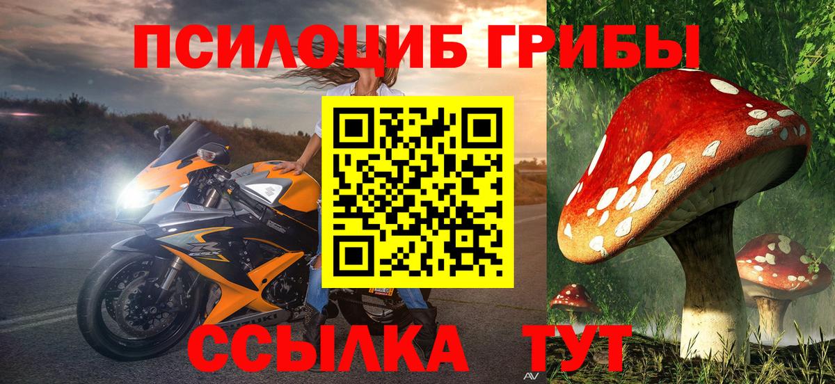 Галлюциногенные грибы Magic Shrooms Дербент