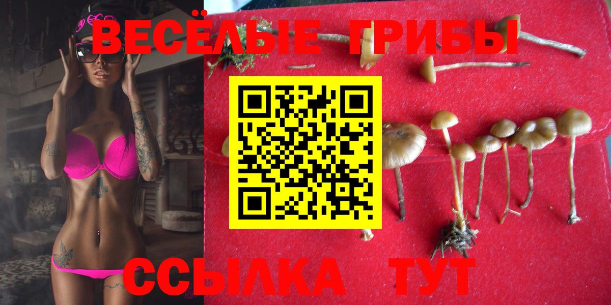 цена   Галлюциногенные грибы Magic Shrooms  Вход с VPN  Дербент 